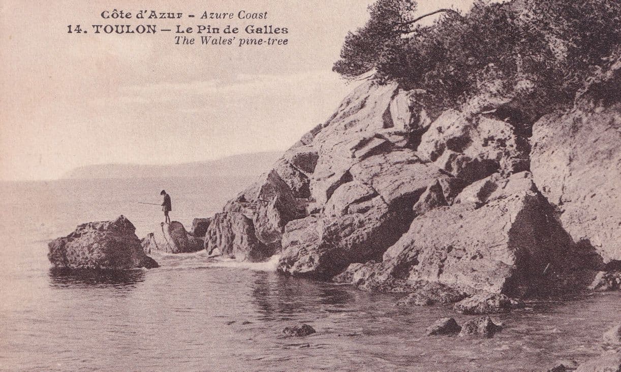 Toulon Wales Pine Tree Cote D'Azur French Cote D'Azur Postcard