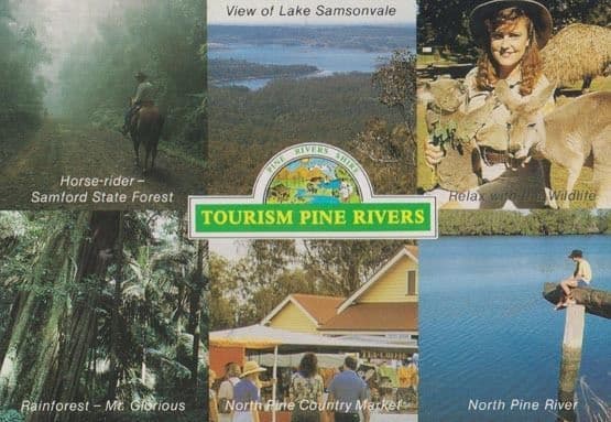 Tourism Pine Rivers Lake Samsonvale Horse Riding Rainforest Tourist Postcard