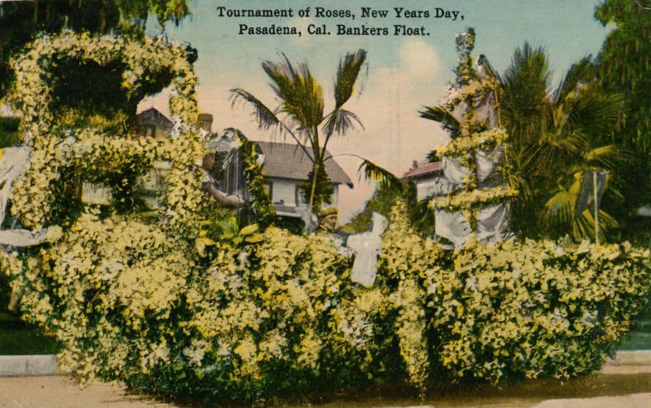 Tournament Of Roses New Years Day Pasadena USA WW1 Old Postcard