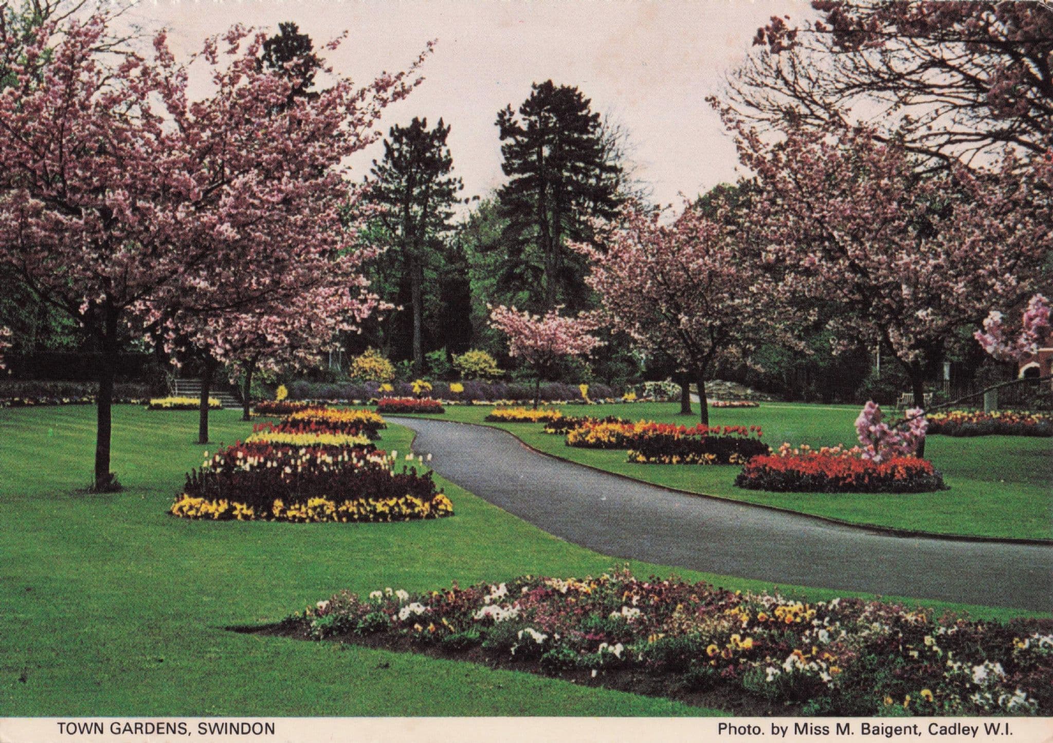 Town Gardens Swindon Wiltshire Women's Institute Postcard