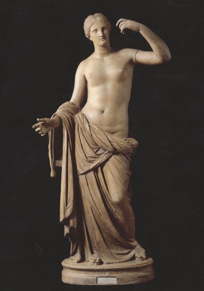 Townley Venus 18th Century Roman Plaster Cast Statue Postcard