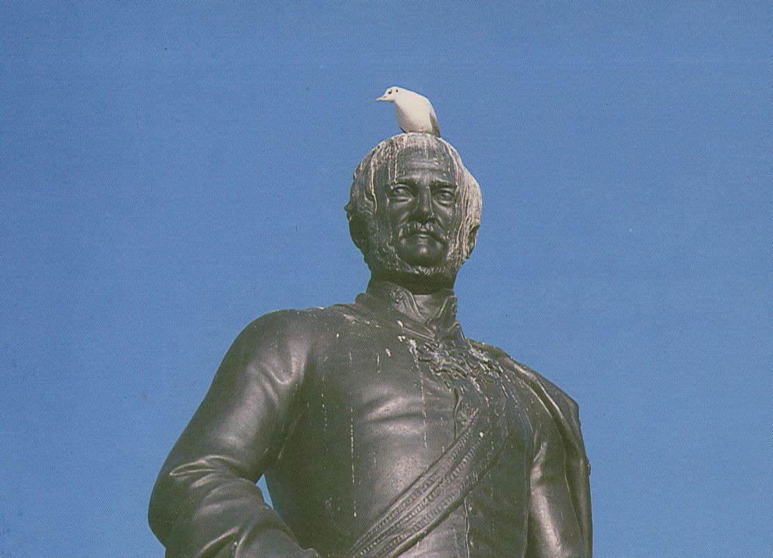 Trafalgar Square Pigeon Bird Poos On Statue Head Rare London Postcard