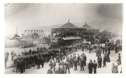 Train Horse Rides Crowds Fair Opening Fairground Society PB Postcard Photo