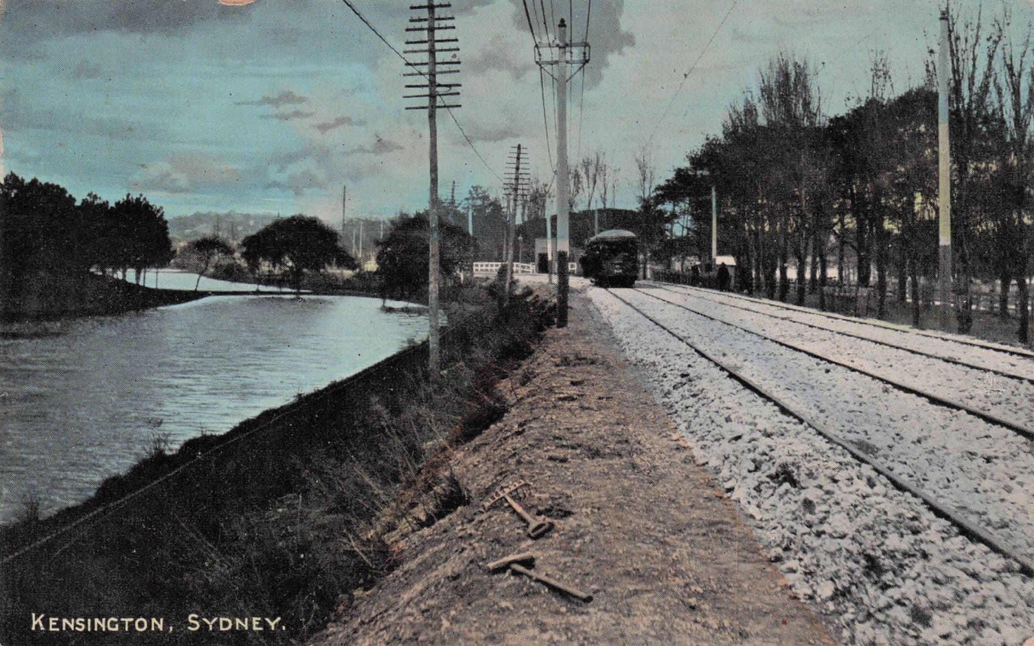 Tram Train Lines at Kensington Sydney Australia NSW Old Postcard