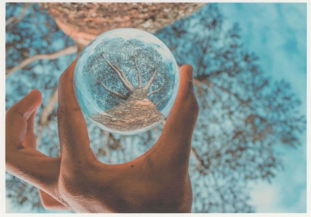 Tree Giant Marble Ball Magnifying Glass German Stunning Postcard