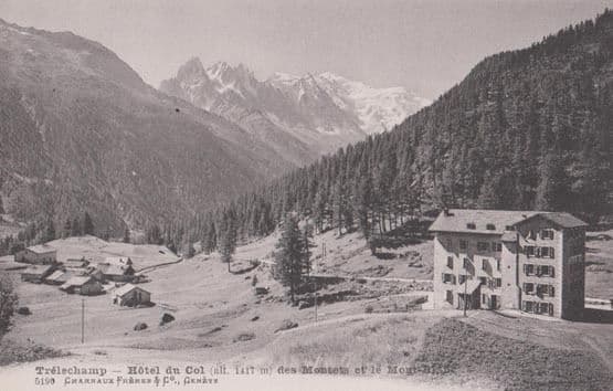 Trelechamp Hotel Du Col French Antique Postcard