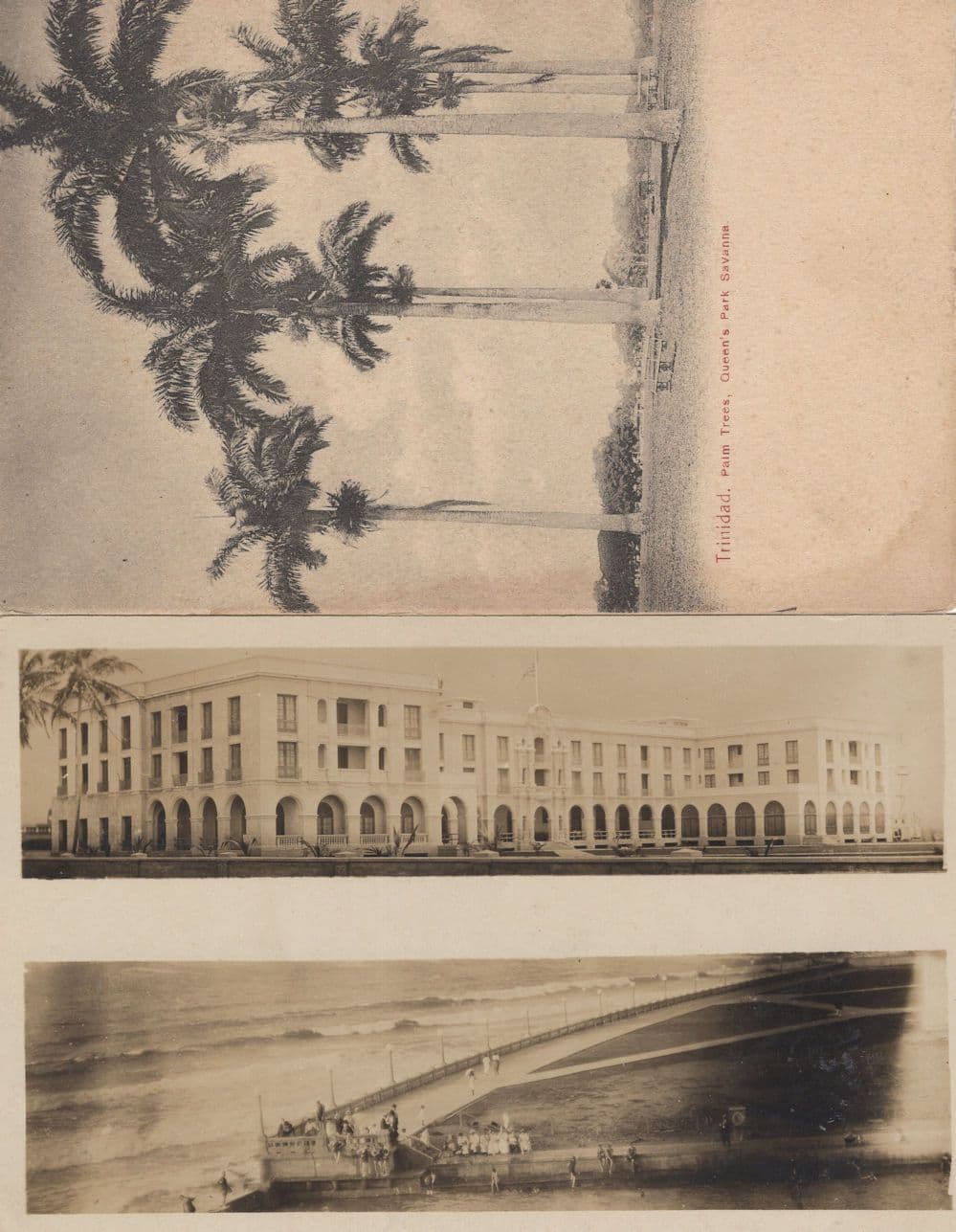 Trinidad Palm Trees Jamaica Real Photo Unidentified 2x Postcard s