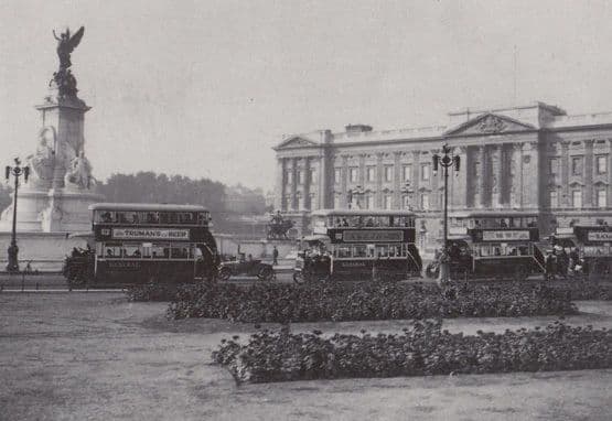 Trumans Beer Alcohol Advertising Bus at Buckingham Palace Postcard