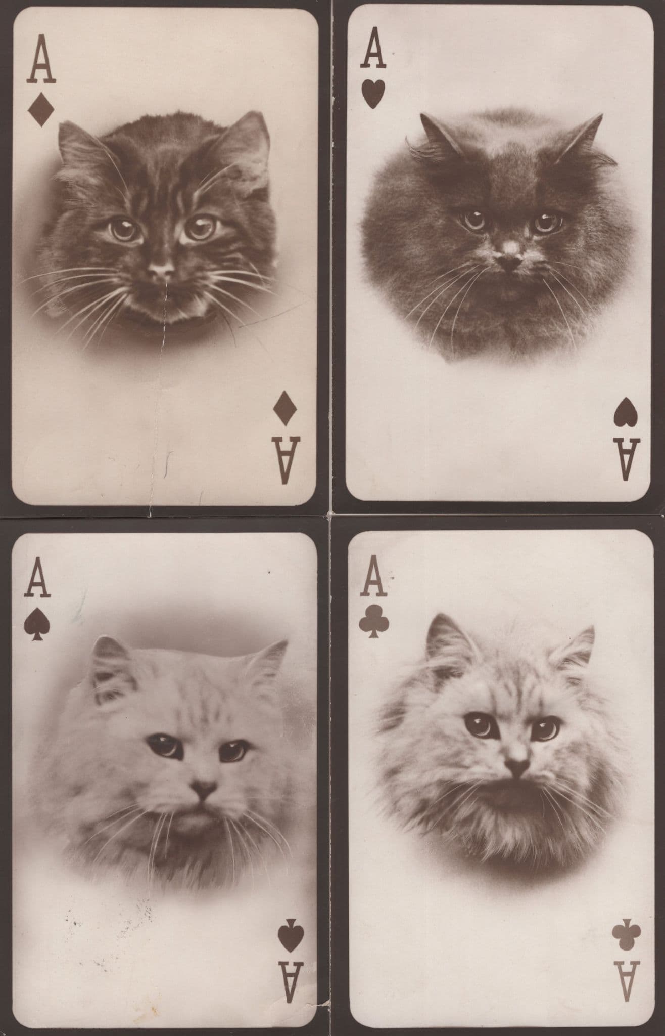 Tucks Ace Of Hearts Diamonds Spades Clubs Cat 4x Playing Card Postcard s