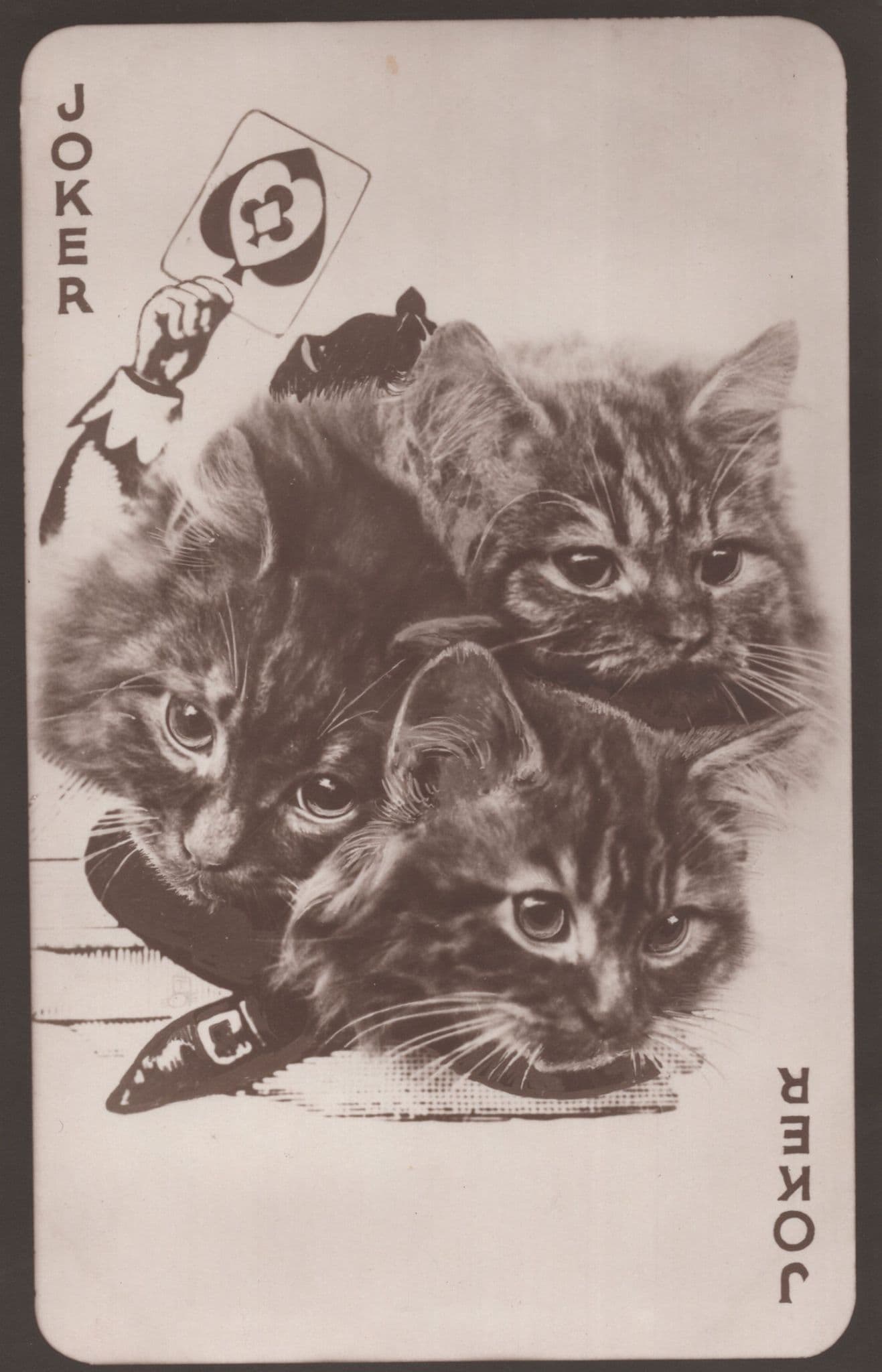 Tucks I'm Lucky Cats Winning Aces The Joker Playing Card Old Postcard