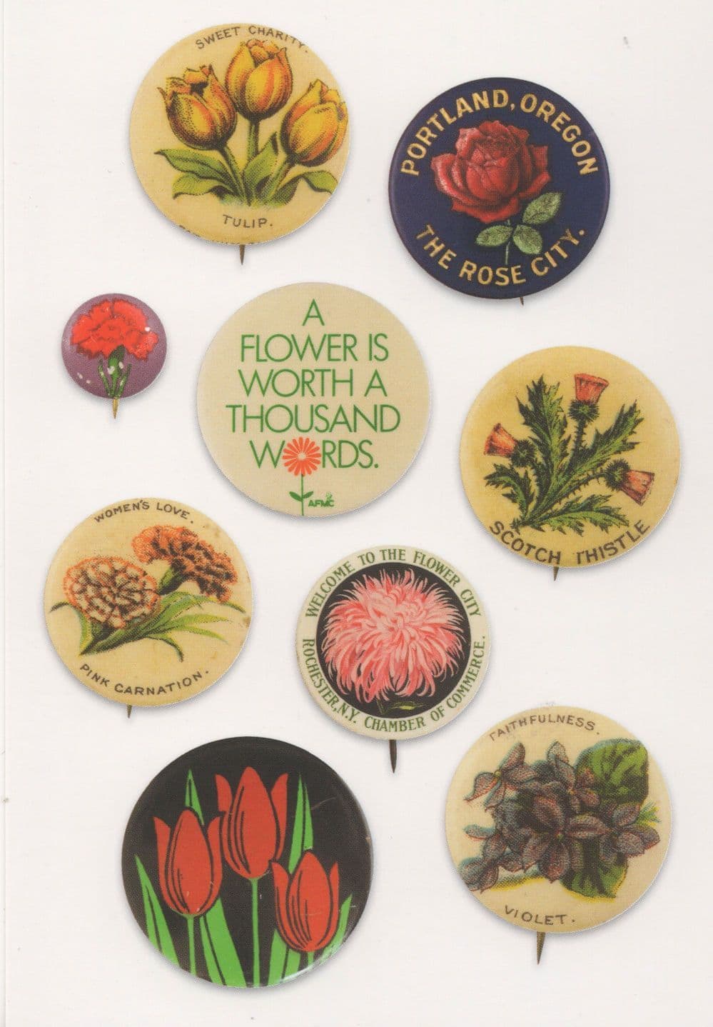 Tulips Carnation Rose Oregon Violets Flower Badge Button Postcard