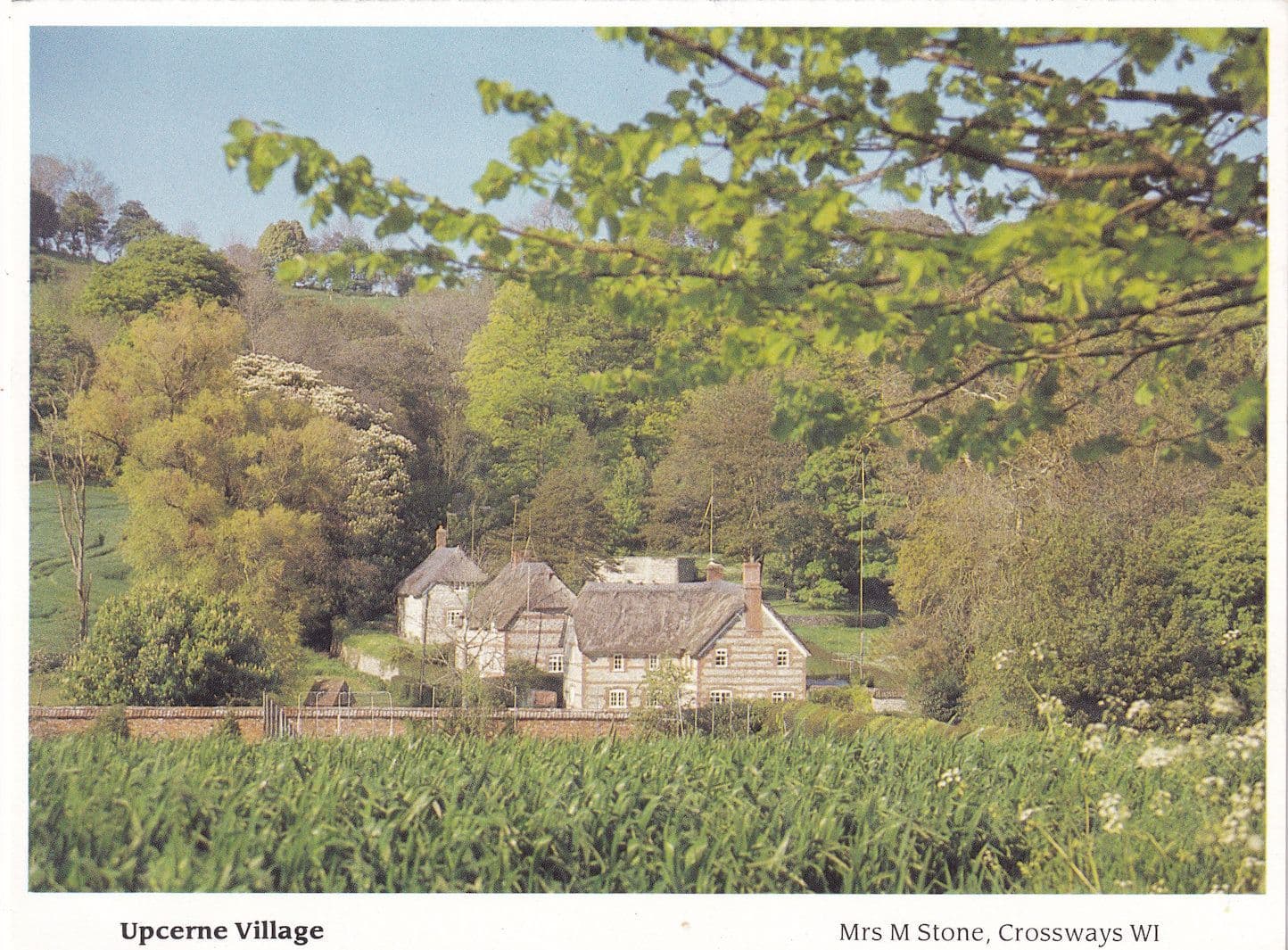 Upcerne Dorset Cottages In Summer Postcard