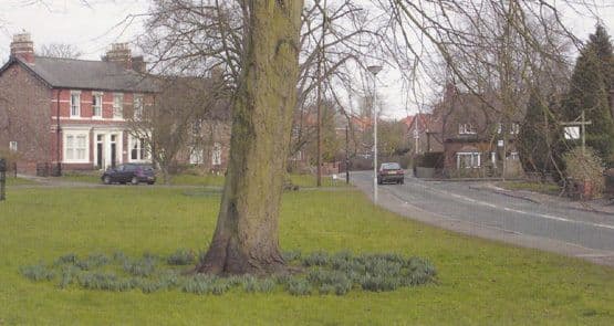Upper Poppleton York Large Postcard