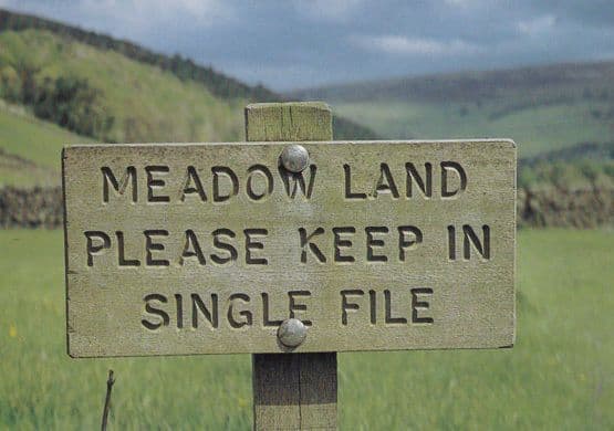 Upper Swaledale Comic Sheep Farming Sign Yorkshire Signpost Postcard