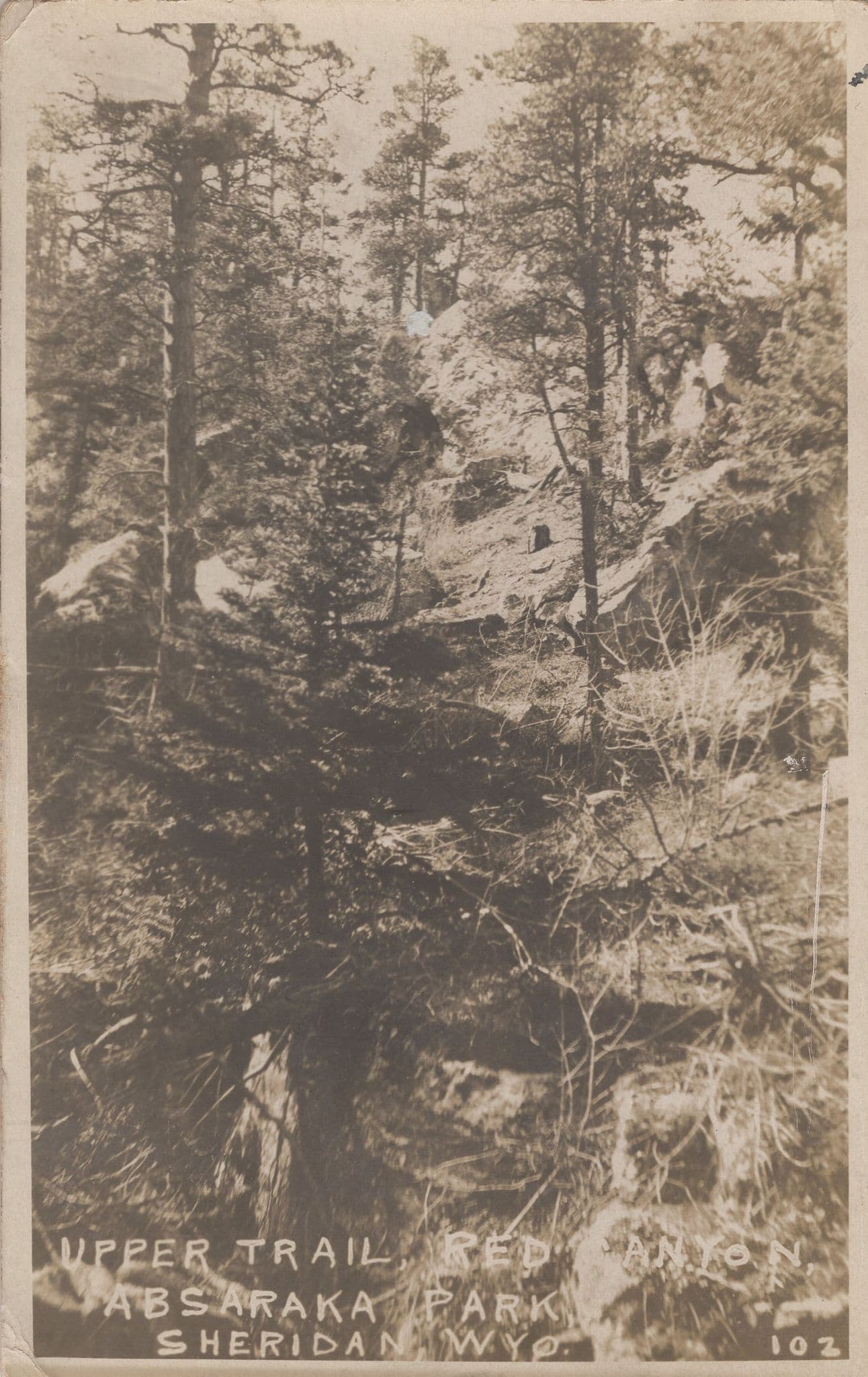 Upper Trail Red Canyon Sheridan Wyoming USA Old Postcard