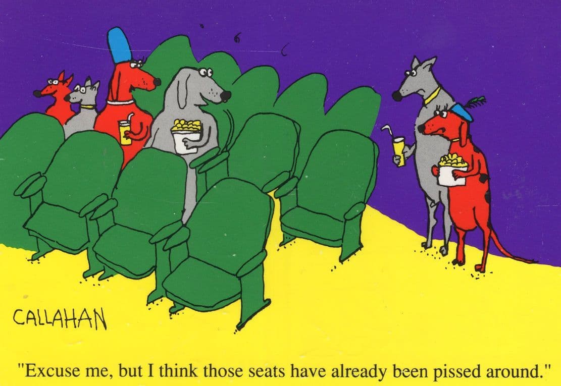 Urinating In Cinema Seats Animal Comic Toilet Humour Postcard