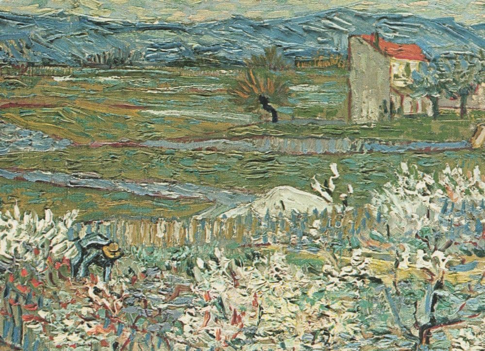 Van Gogh Field With Peach Trees In Blossom Rare Painting Postcard