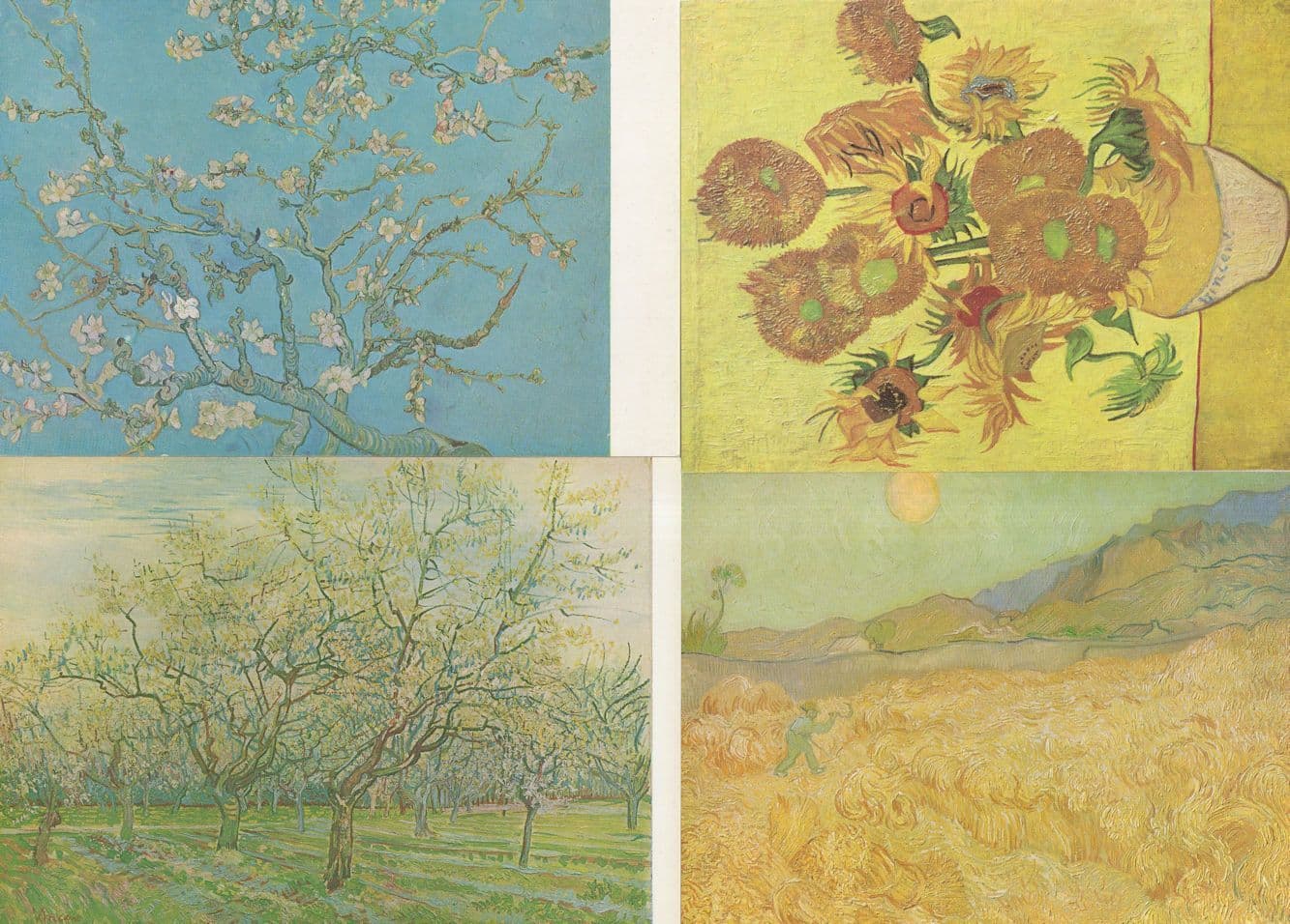 Van Gogh The White Orchard 4x Tree Painting Museum Postcard s