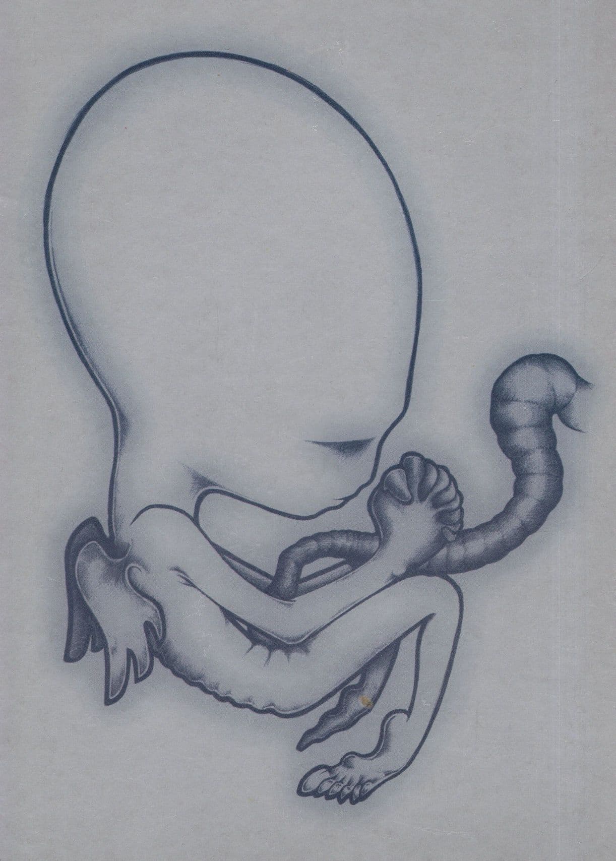 Vanilla Sky Sigur Ros Space Alien Foetus Advertising Postcard