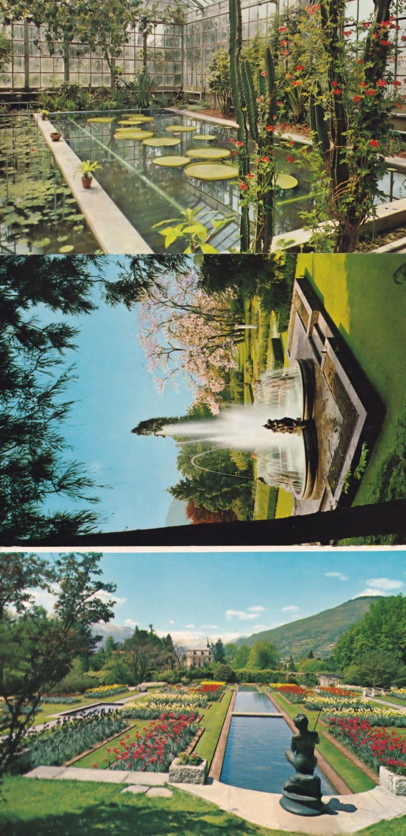 Verbania Pallanza Giardini Botanici Di Villa Taranto 3x Italy Postcard s