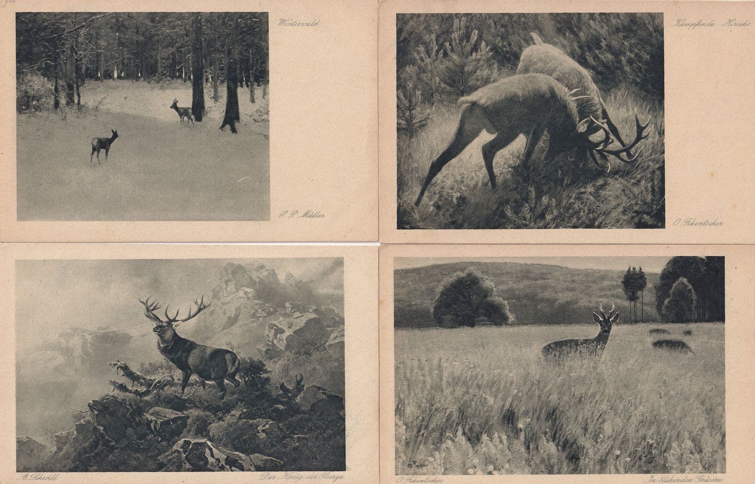 Verlagg Hermann German Deer Painting A Wiechmann Munchen 4x Old Postcard s