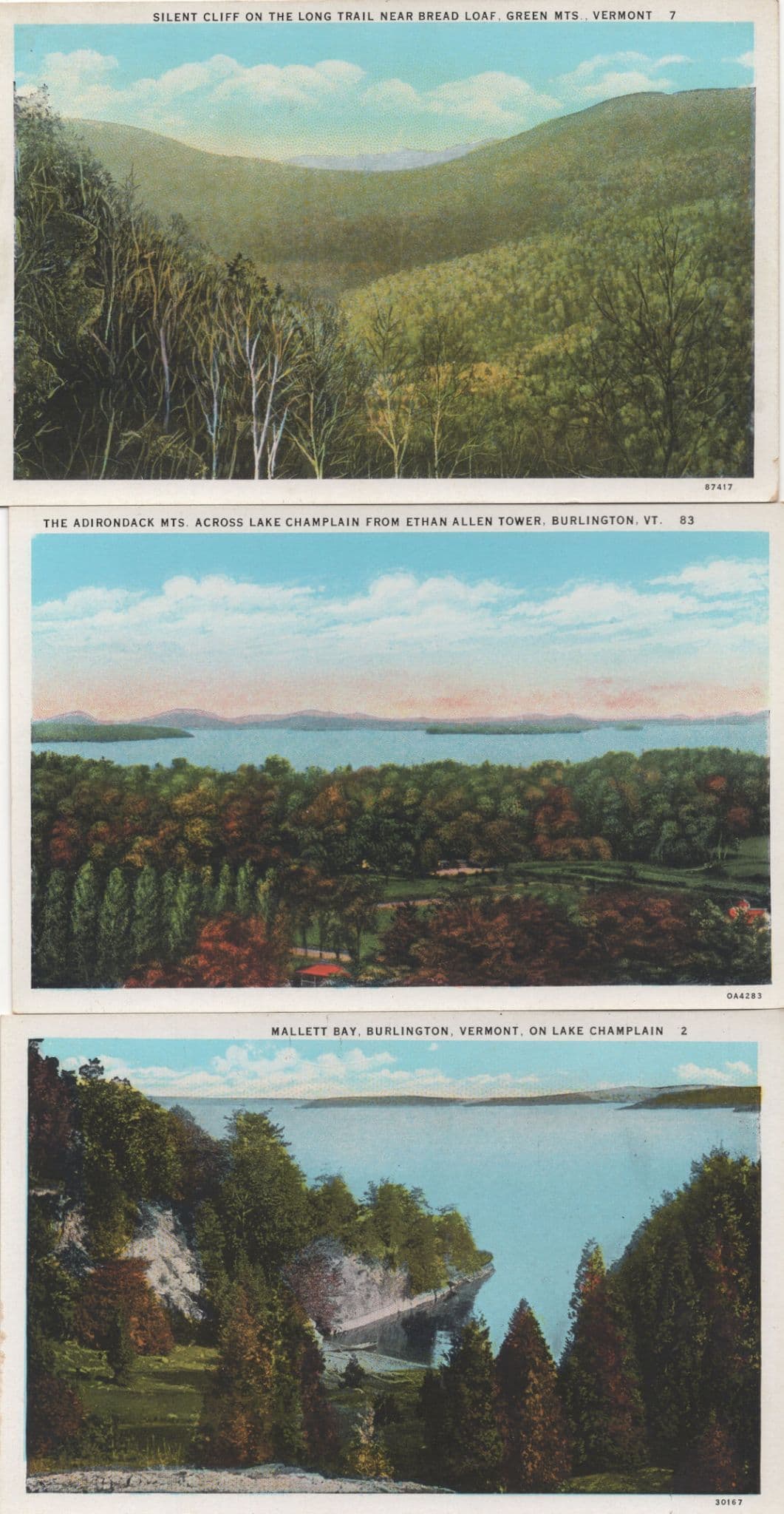 Vermont Silent Cliff On Long Trail Burlington Vermont USA 3x Postcard s