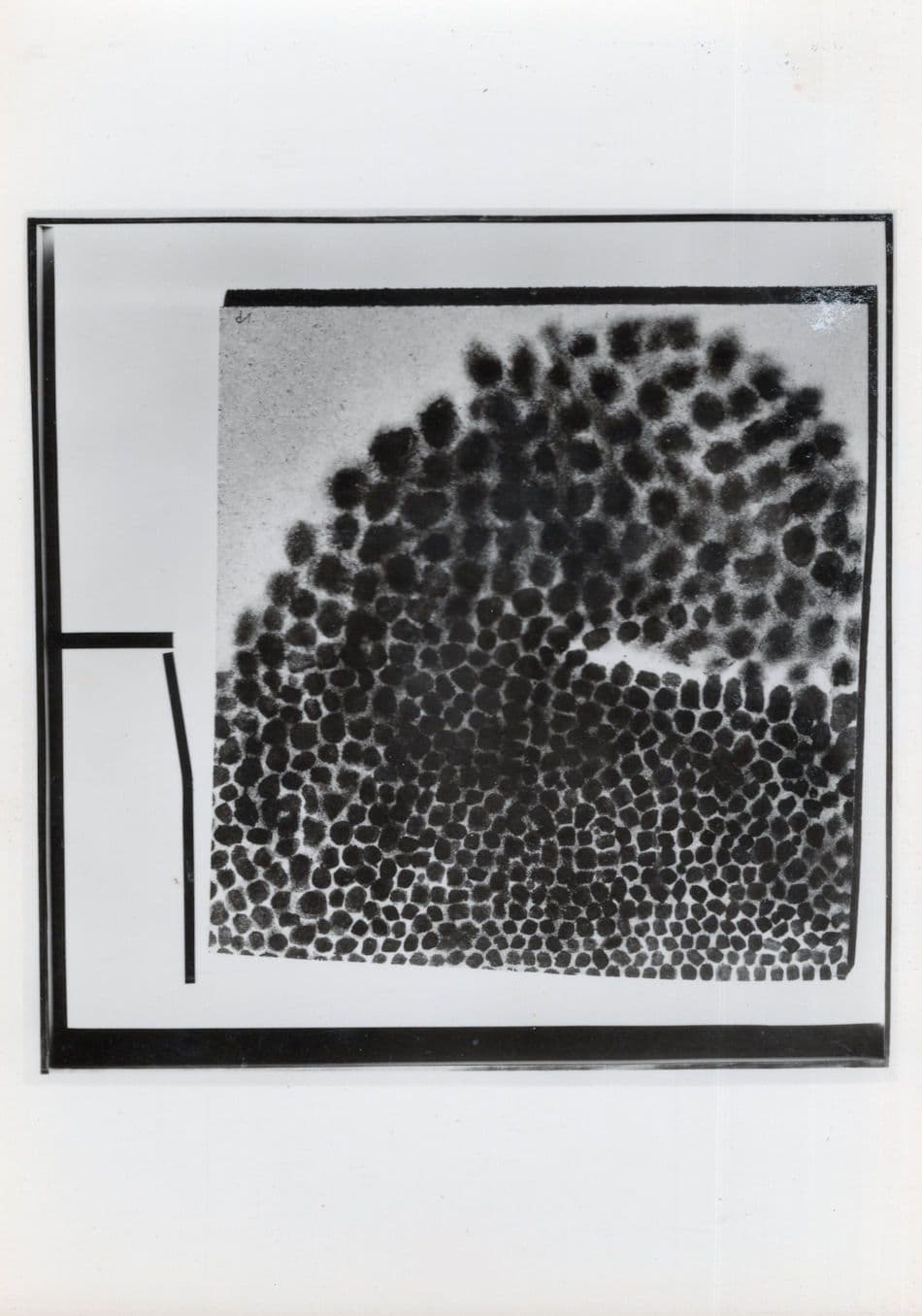 Victor Pasmore Black Abstract Tate Real Photo Painting Postcard