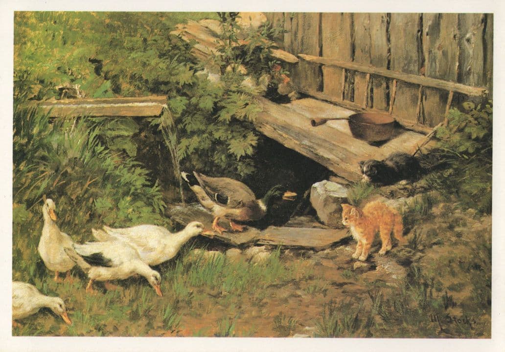 Victorian Farm Kitten Playing With Ducks Painting Postcard