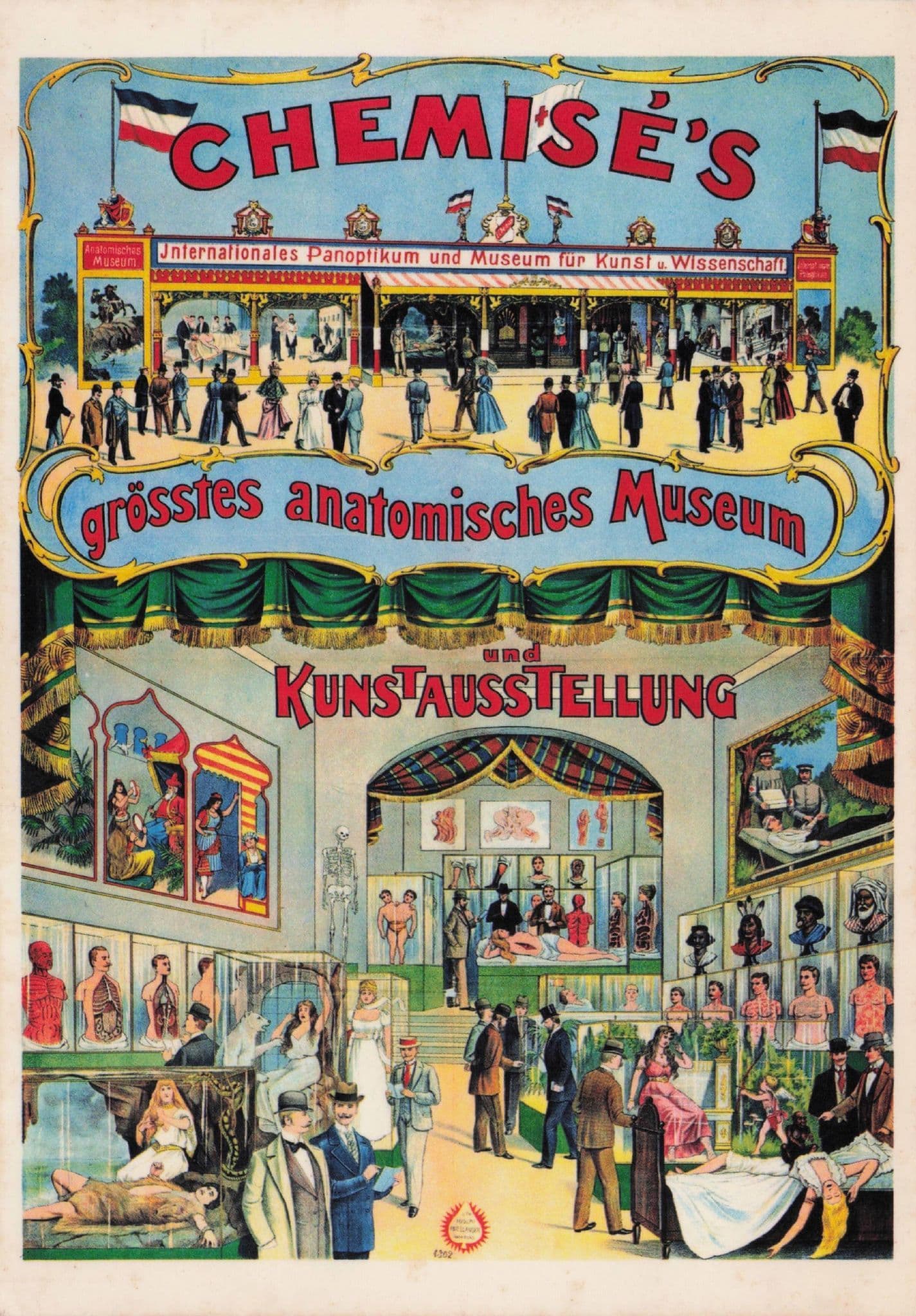 Victorian German Fossil Animal Skeleton Evolution Exhibition Postcard