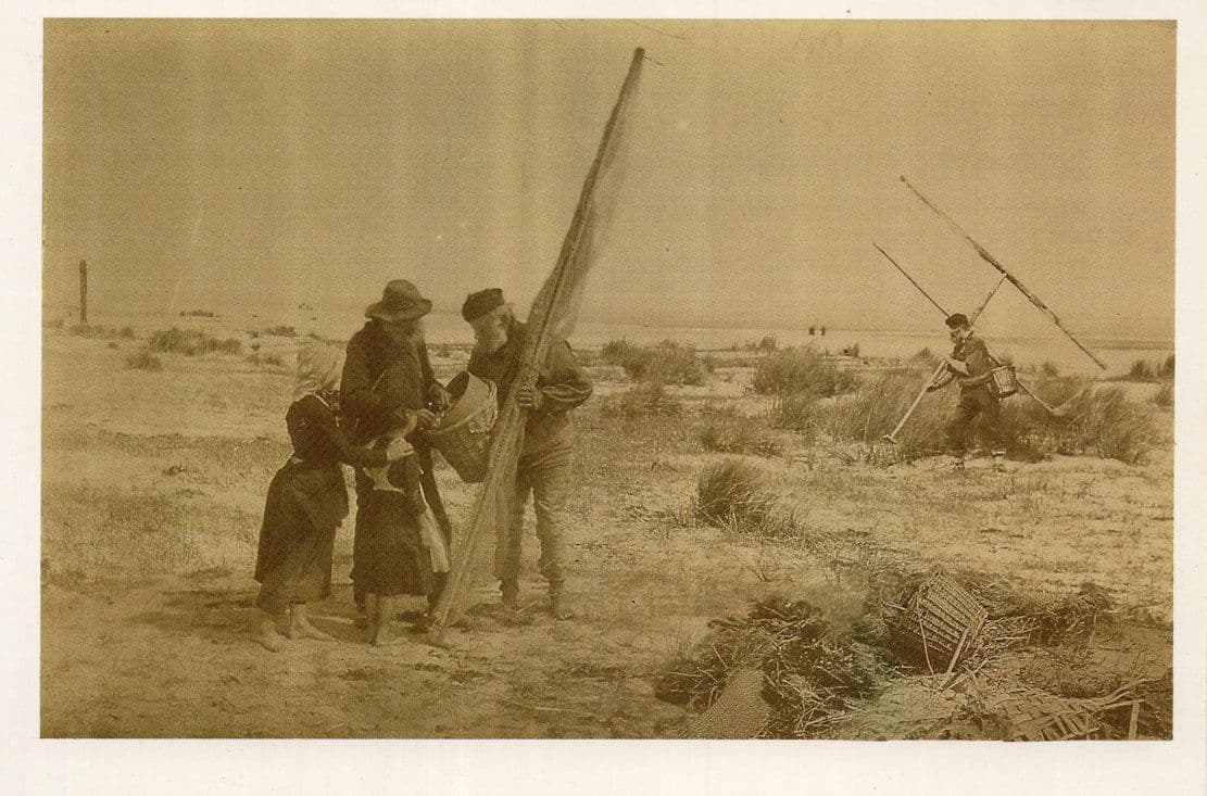 Victorian Shrimpers Fishing Rare Real Photo Award Postcard