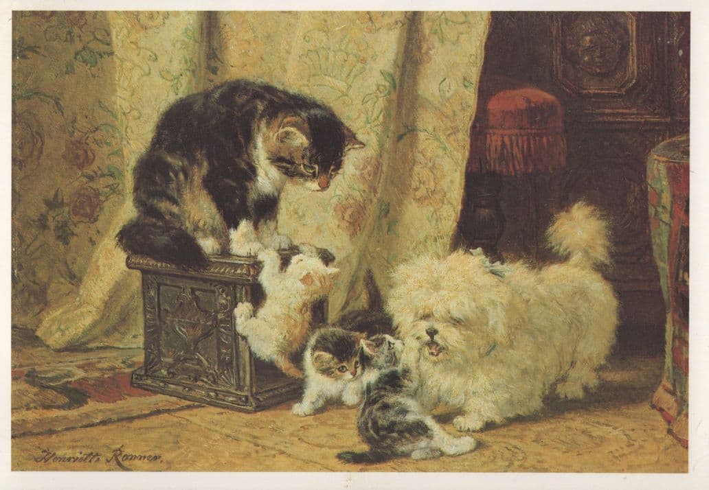 Victorian Terrier Dog Playing With Kittens Victorian  Painting Postcard