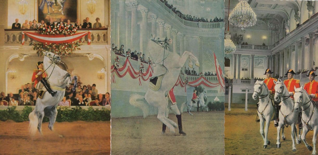 Vienna Horse Riding School Austria Wien 3x Painting Postcard s