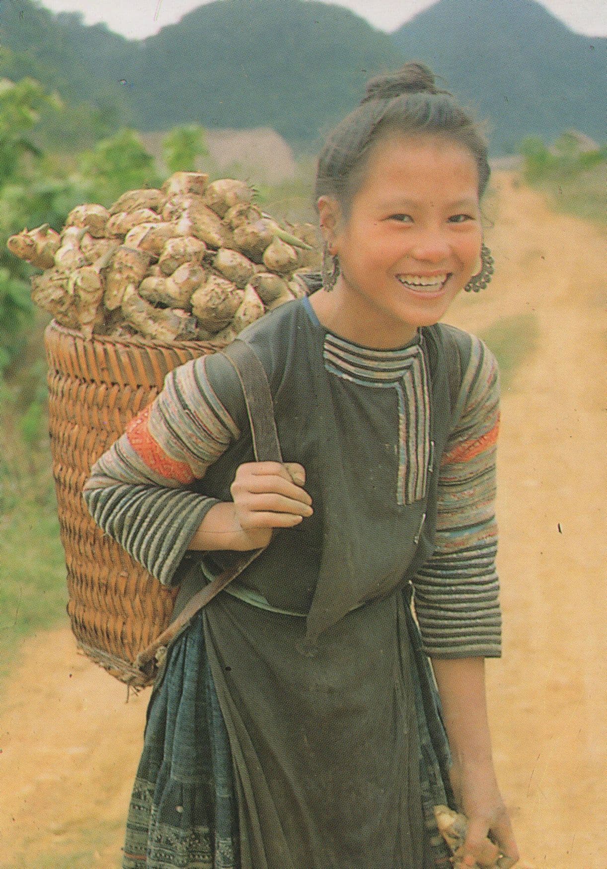 Vietnamese Woman Gathering Food Back Pack Vietnam Postcard