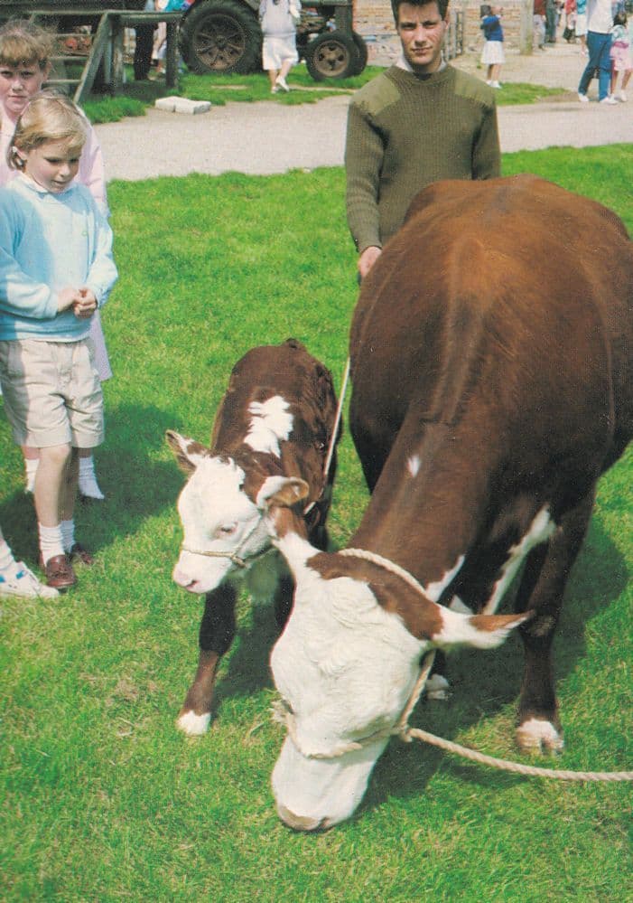 Visitors Day at Thorpe Farm Chertsam Surrey Postcard