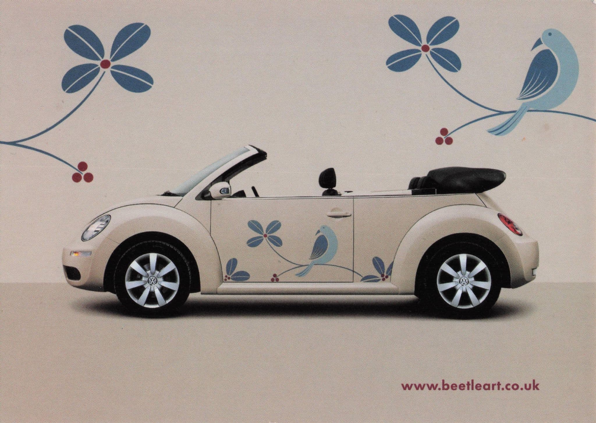 Volkswagen Beetle Flock Of Birds New Shiny Car Boomerang Postcard
