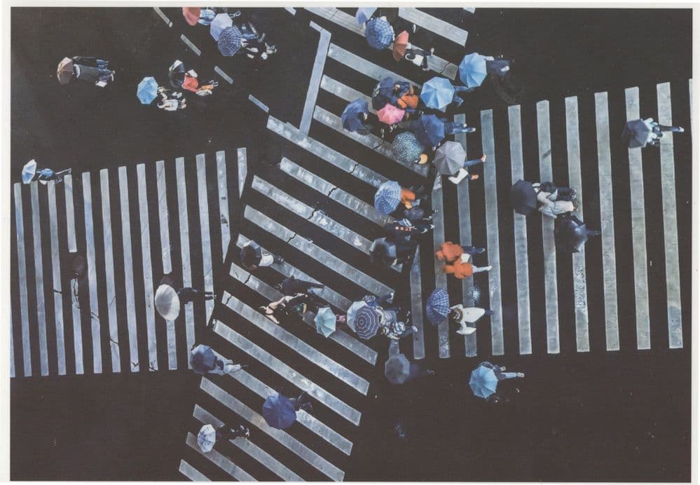 Wacky Umbrellas On Crazy Traffic Zebra Crossing Aerial Postcard