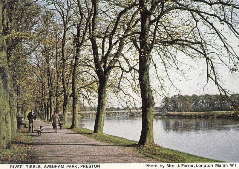 Walking Dogs on River Ribble Avenham Park Preston Lancashire Vintage Postcard