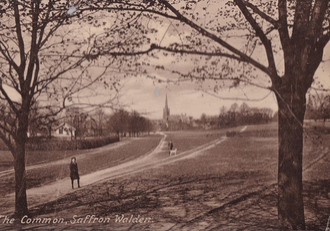 Walking The Dog Saffron Walden Essex RPC Old Postcard