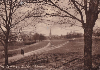 Walking The Dog Saffron Walden Essex RPC Old Postcard