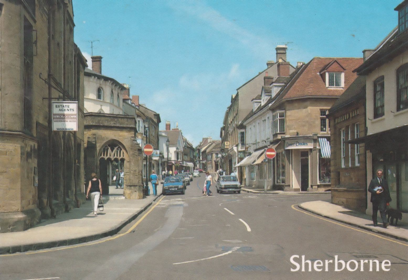 Walking The Dog Sherborne MIdland Bank Dorset Postcard