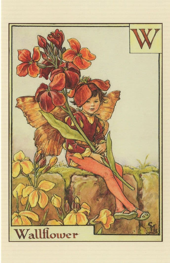 Wallflower Fairy From 1934 Alphabet Fairies Book Postcard