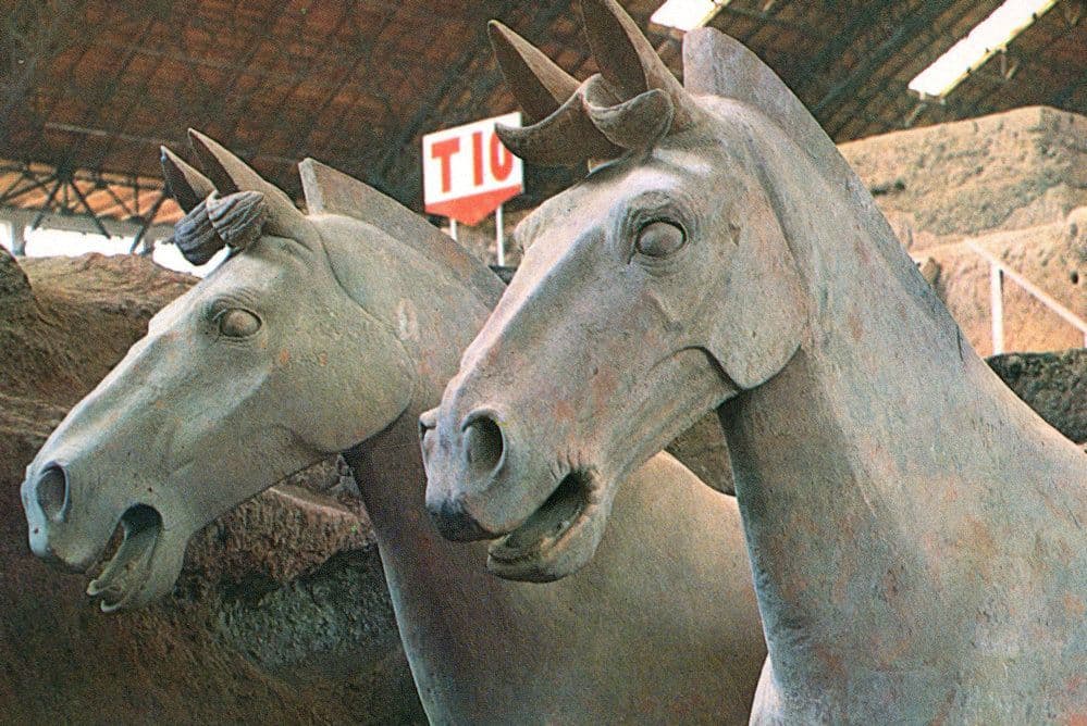 Warrior Horses Stables Pottery Farming China Model Chinese Postcard