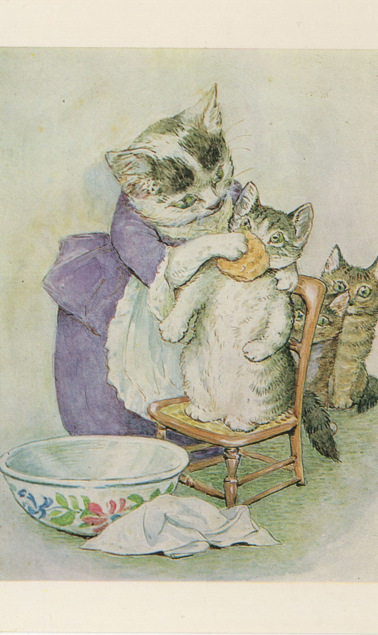 Washing A Cat Cats Nose Beautiful National Trust Postcard