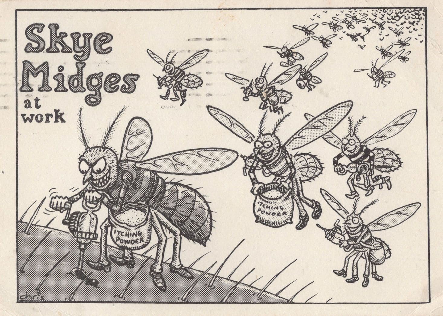 Wasps Insects With Joke Shop Itching Powder Comic Postcard
