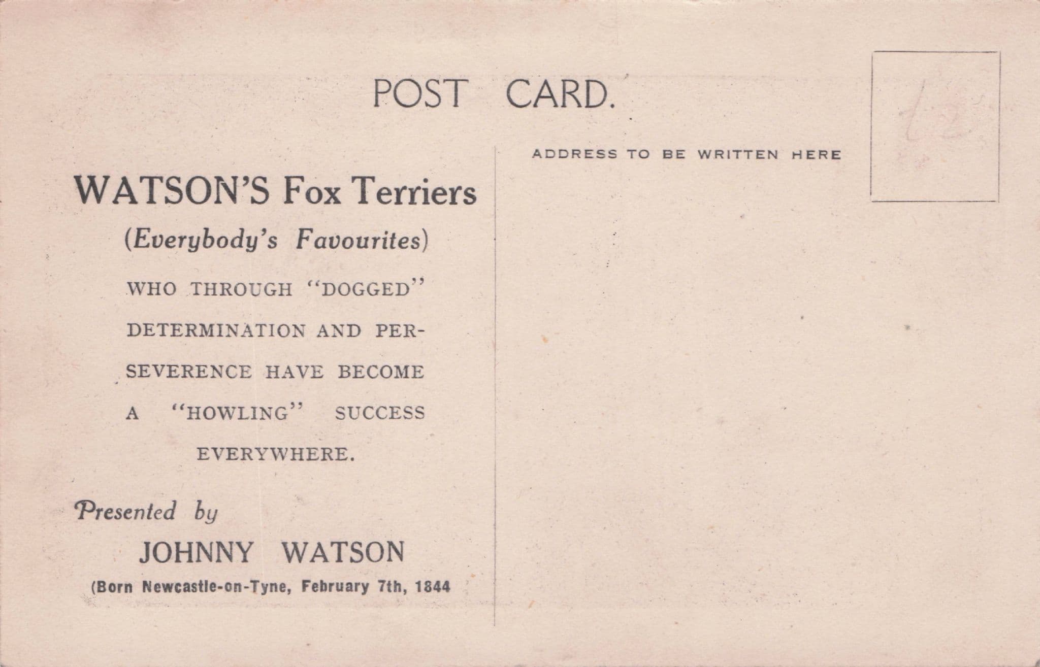 Watson's Fox Terriers Vintage Circus Theatre Vaudeville Dog Act Postcard