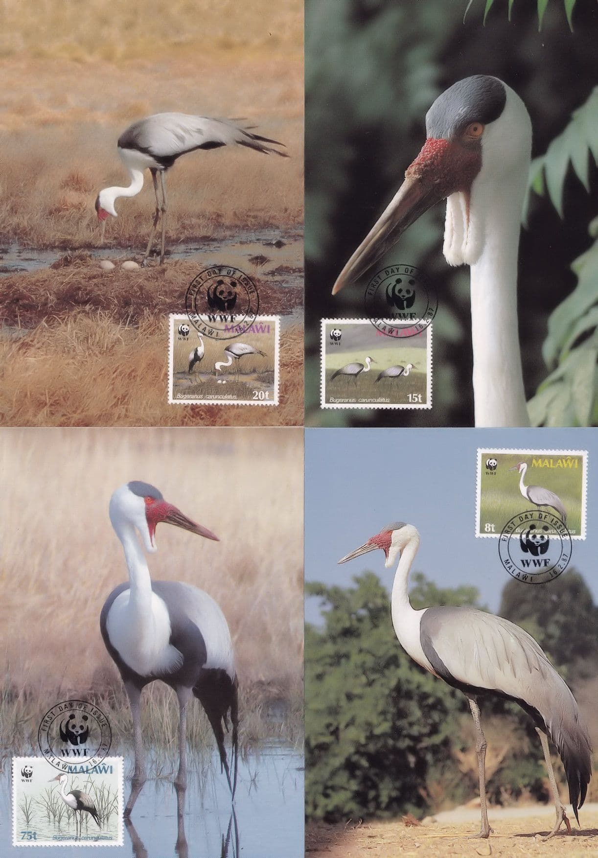 Wattled Crane 4x Malawi African WWF Stamp Bird First Day Cover Postcard s