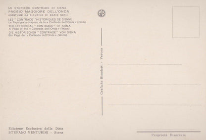 Wave Page Pantera Della Contrade of Siena Costume Fashion Italian Postcard