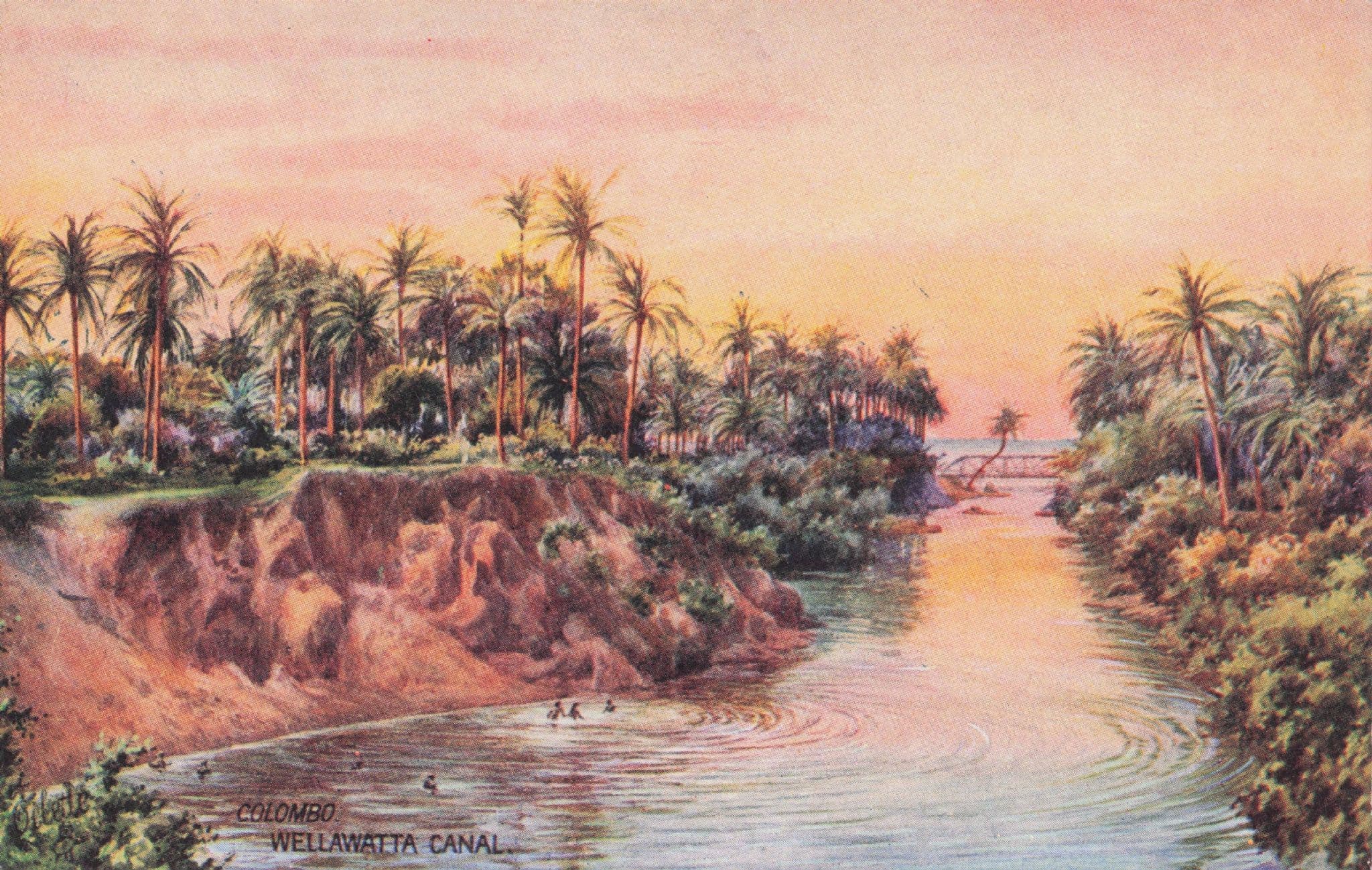 Wellawatta Canal Colombo India Tucks Oilette Antique Postcard