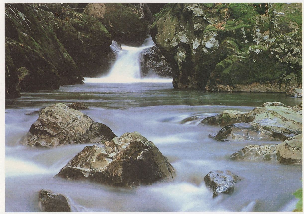 Welsh Mountain Stream Dwr Mynydd Beautiful Welsh Rare Postcard