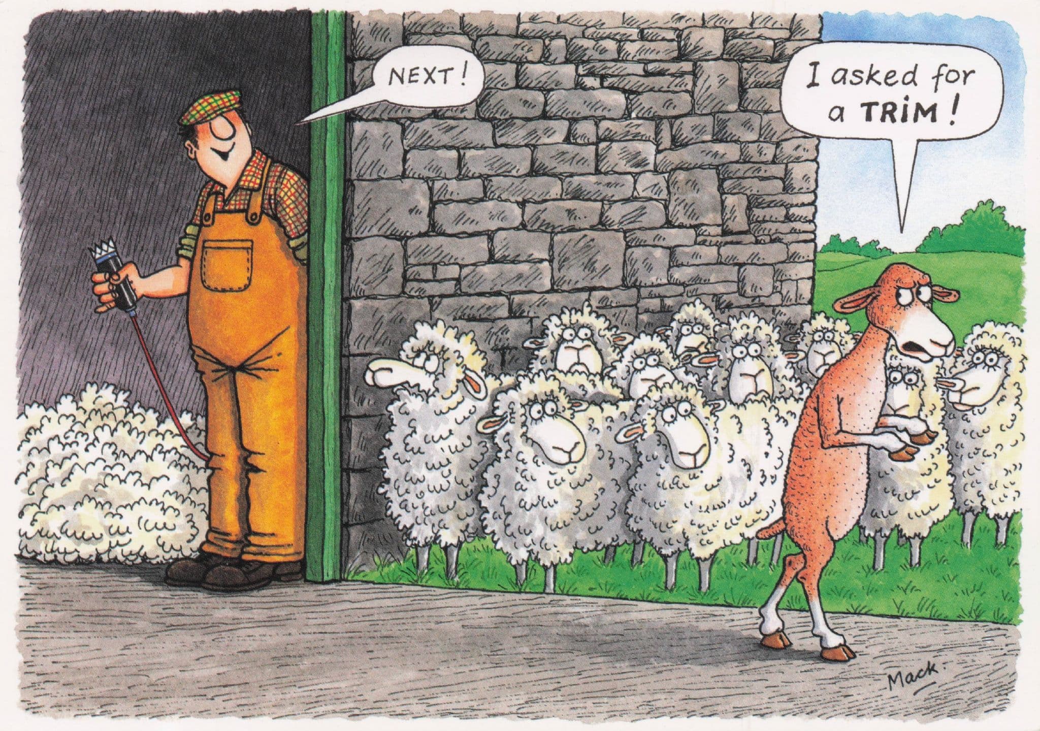 Welsh Sheep Farming Crazy Wales Barber Animal Haircut Comic Postcard